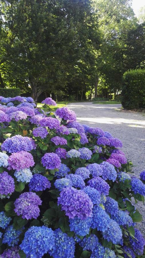 Domaine Du Plessis Grimaud Bed & Breakfast Saint-Viaud Екстериор снимка